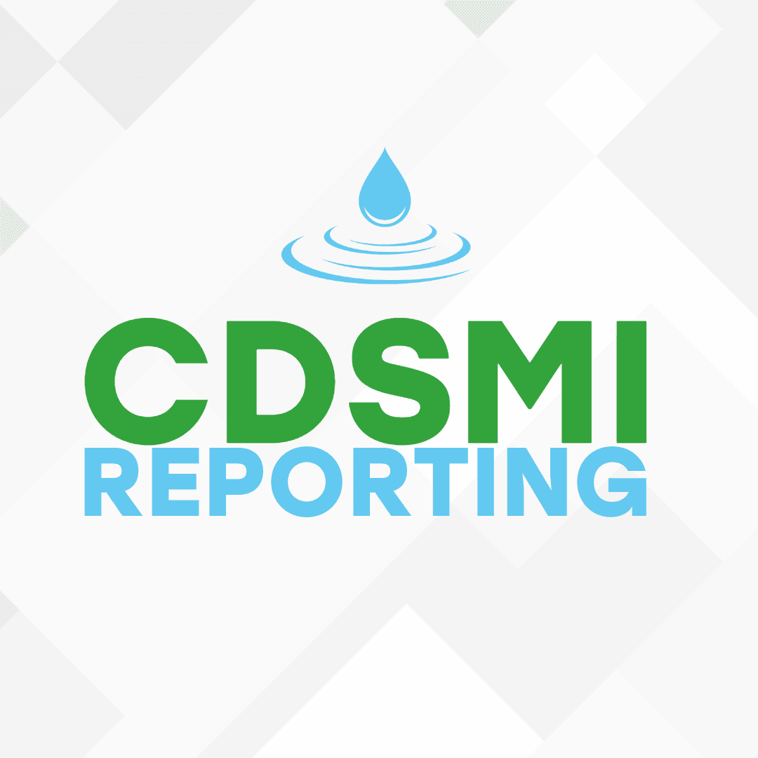 CDSMI Report